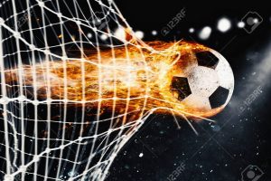 Soccer net